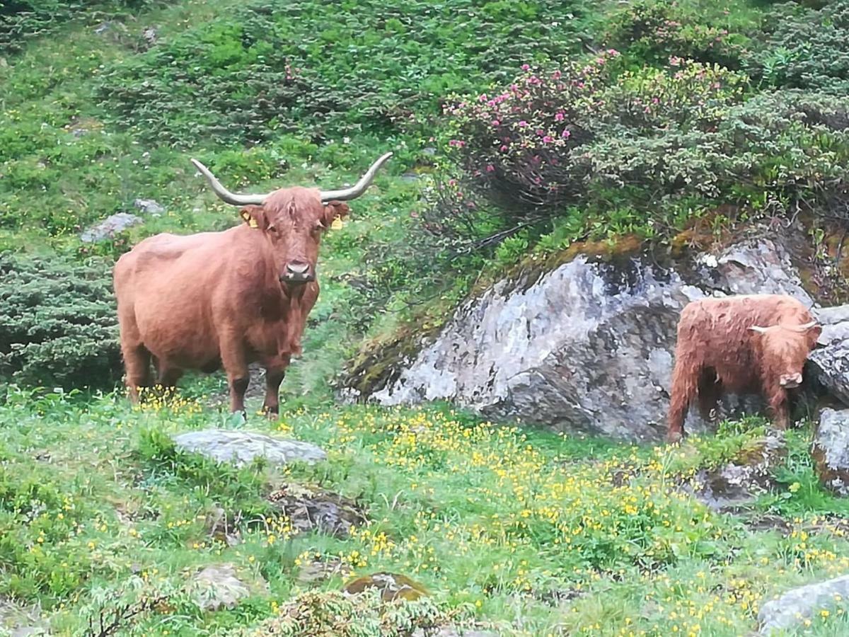 Haus Pechtl Sankt Leonhard im Pitztal Exterior foto